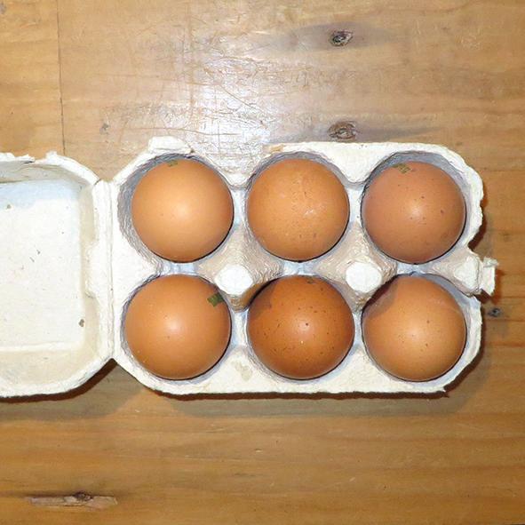 Organic Eggs - 1/2 dozen ×6 (Organic Farming)