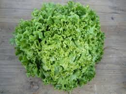 Salade batavia verte 1 pièce (Agriculture Biologique)