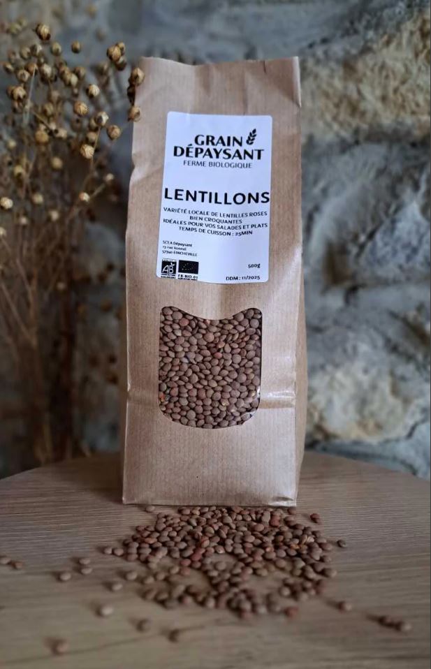 Lentillons Bio 500 Gr