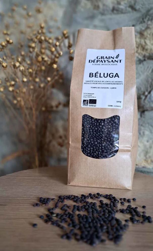 Organic Beluga Lentils 500g