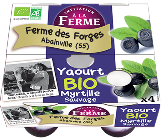 Organic Wild Blueberry Yogurt 4x125g