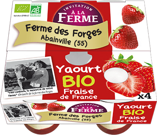 Yaourt fraise de France 4*125g Bio
