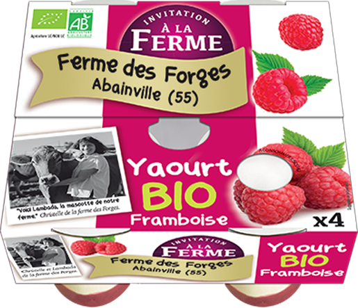 Yaourt Framboise 4*125g Bio