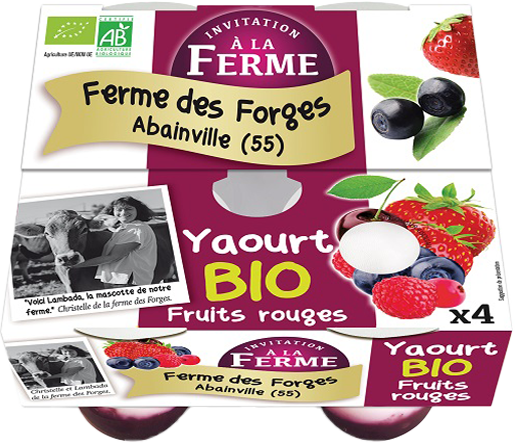 Yaourt Bio aux Fruits rouges 4x125g Bio