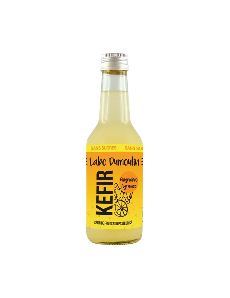 Organic Ginger-Citrus Kefir - 25cl