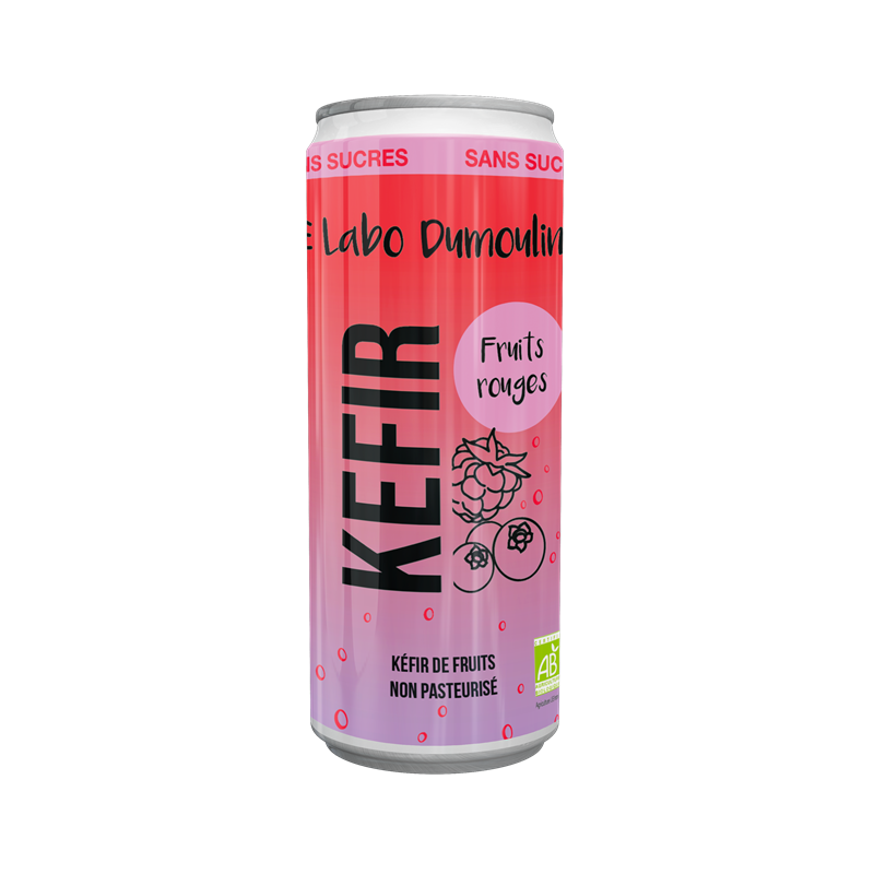  Organic Red Fruit Kefir – Can, 25cl