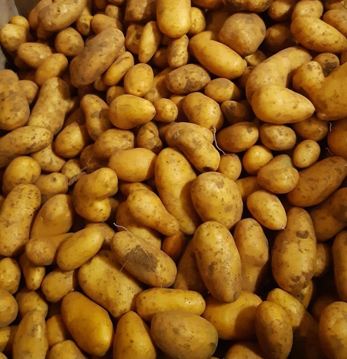 Allians Potatoes 1kg – Firm Flesh (Organic Agriculture)