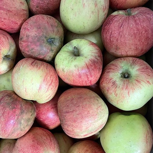 Crunchy Apples 250g (Organic Farming)