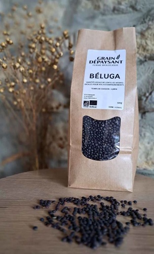 Organic Beluga Lentils 500g