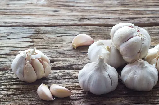 ail frais bio 1kg