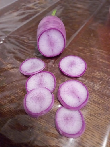 Radis violet Agriculture biologique 200g