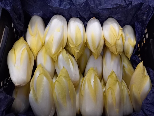 Endive 250g Bio