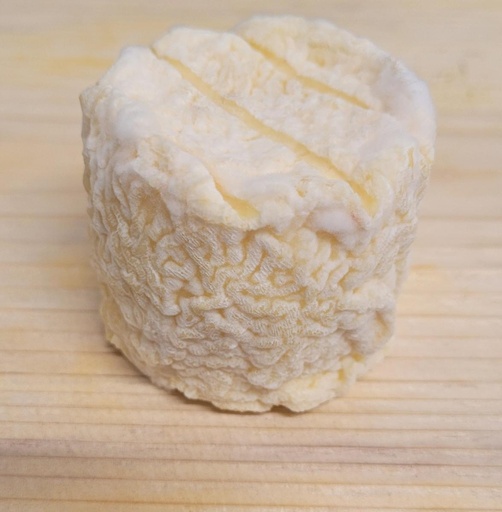 Le Ptit Saint Jean (Agriculture Biologique)